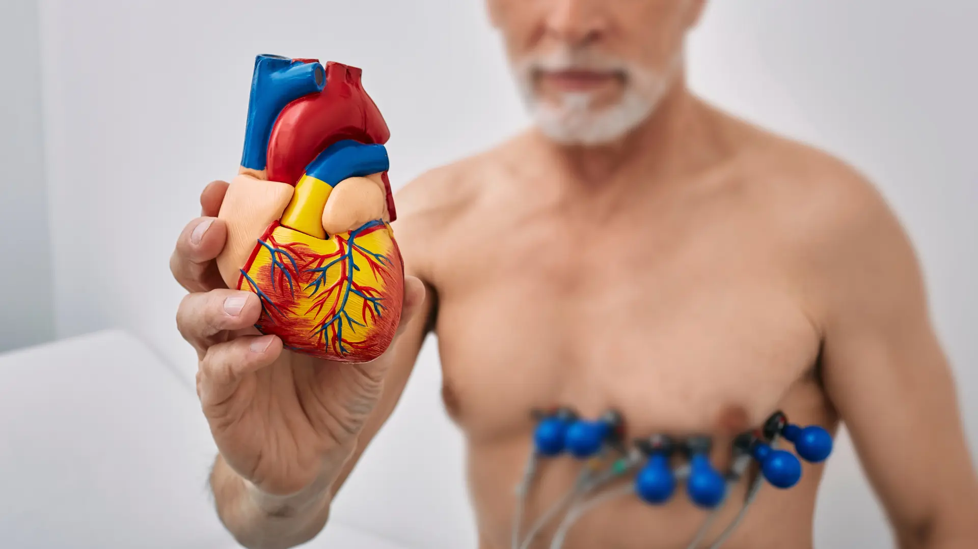 Pacjent kardiologiczny trzyma model serca podczas badania EKG